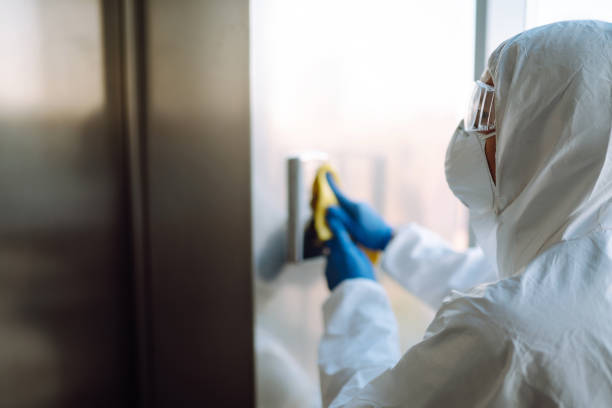 Best Toxic Mold Removal  in USA